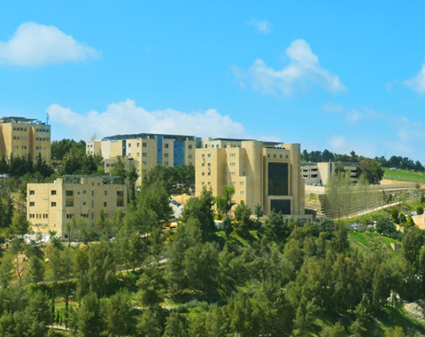 بانر سياستنا نحو الجودة موبايل