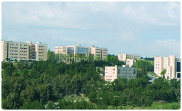 AAU Administration