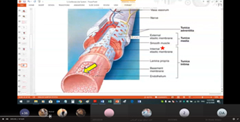 Distance Learning Systems Manual